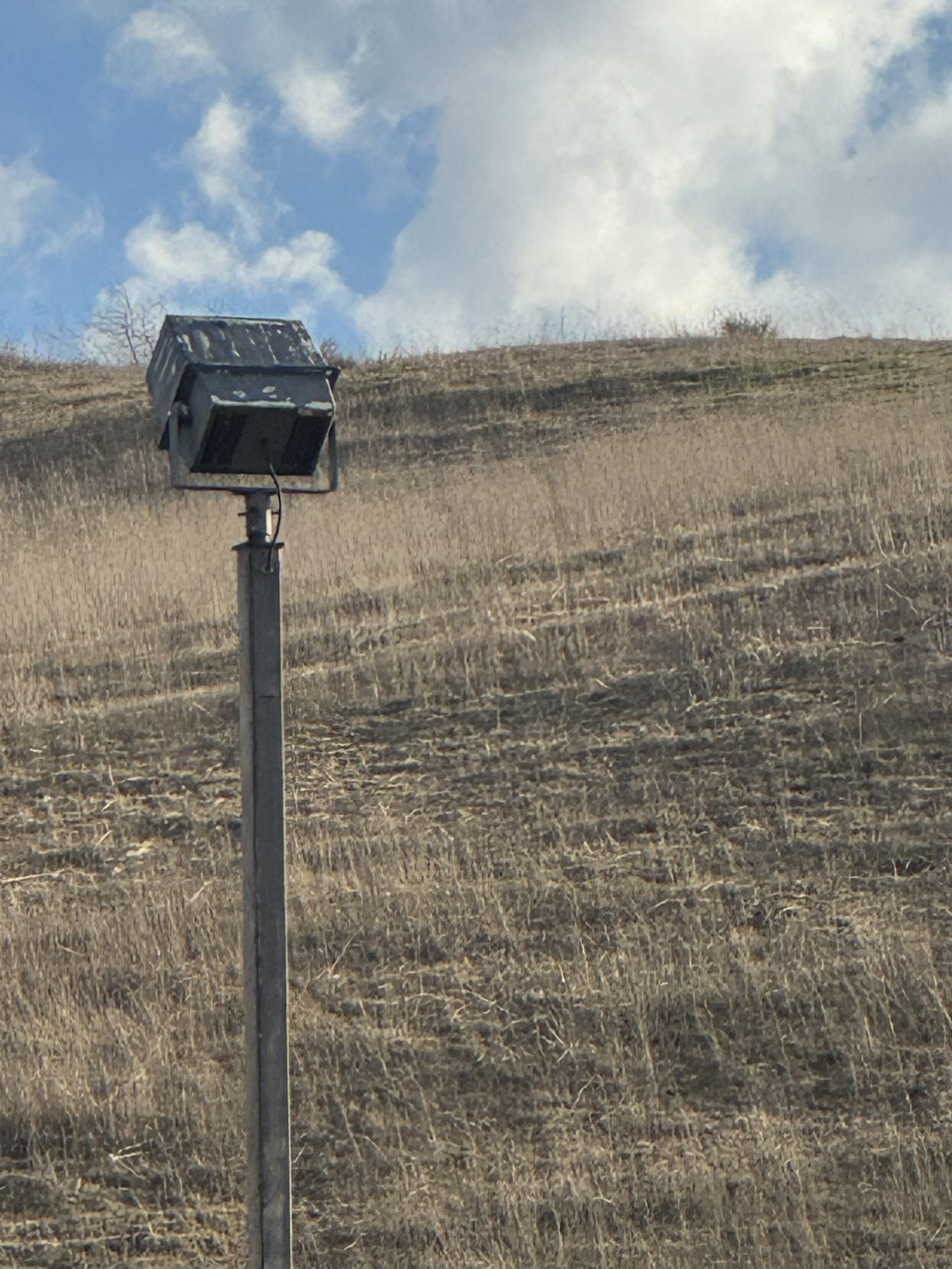 Arena lights /patio/ranch