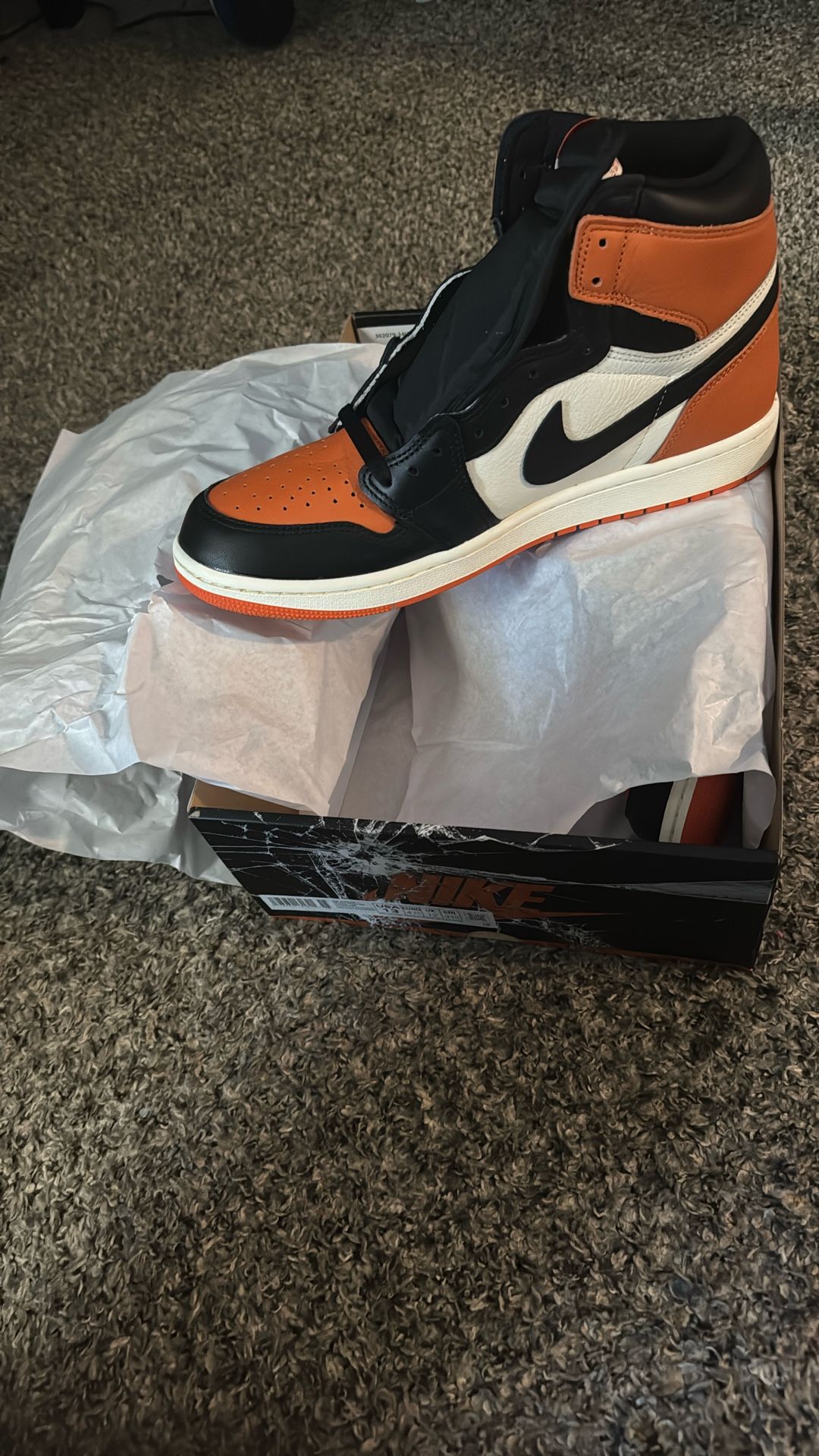 Shader backboard 1s
