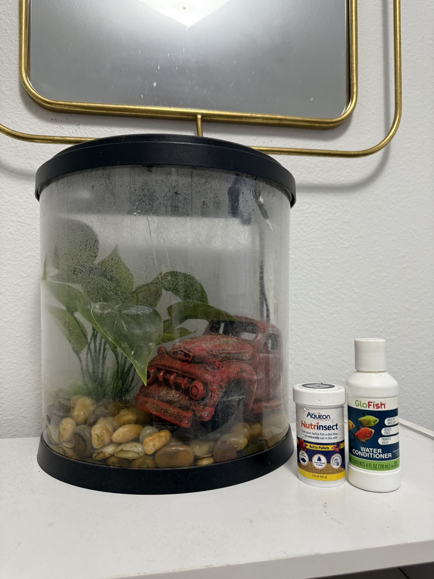 Fish Tanks & Extras