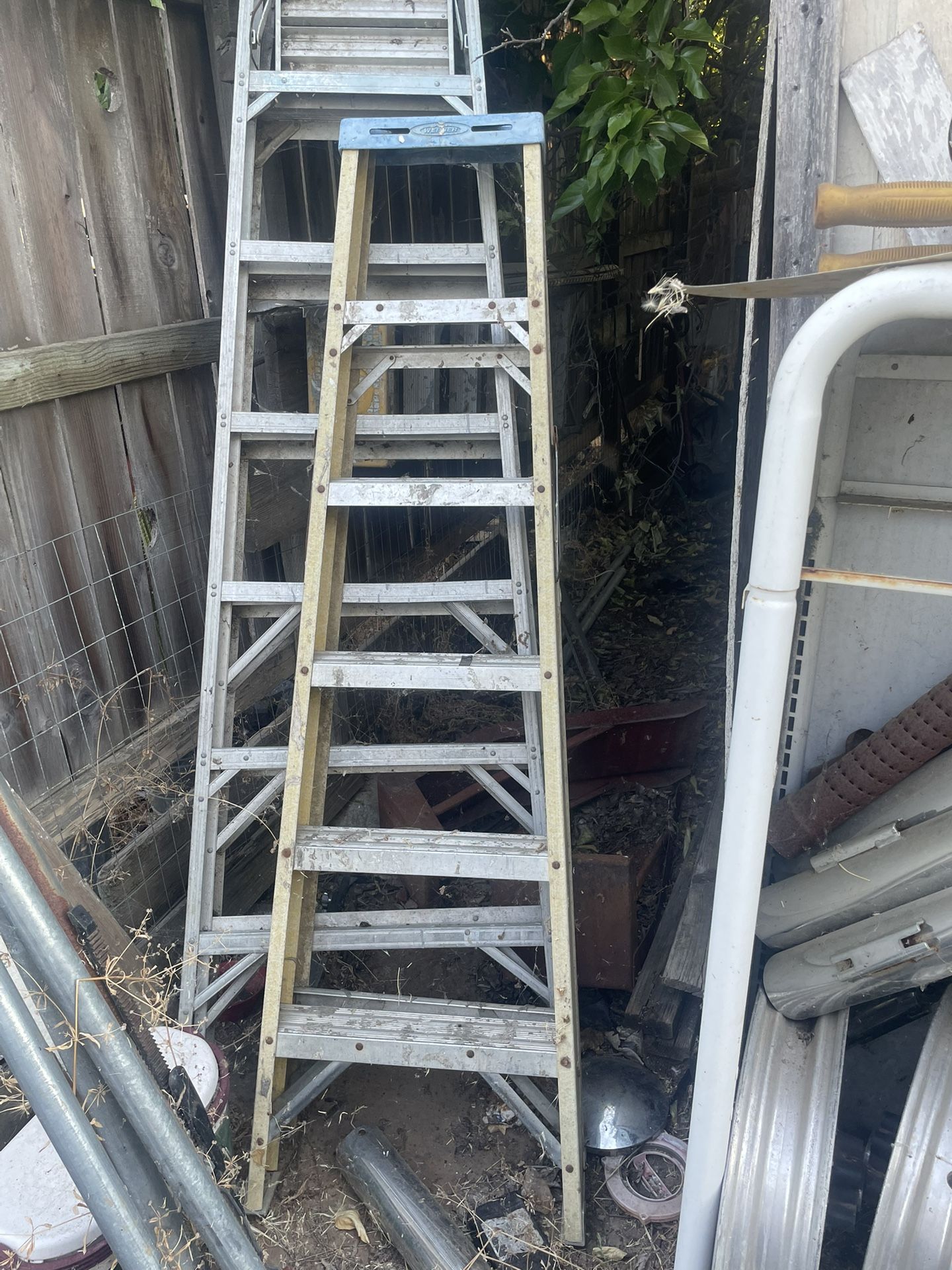 6 Ft Ladder