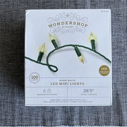 NEW Wondershop 100 LED string LED mini light set (Indoor/Outdoor)