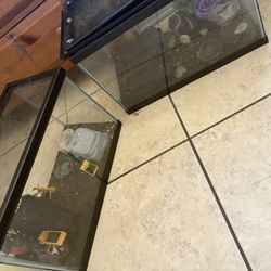 10 Gallon Lizard Tanks 