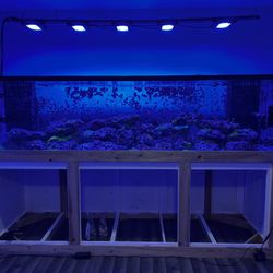 Custom Made Aquarium  For Sale