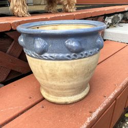Sea Shell Ceramic Flower Pot