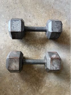 20lb dumbbells (pair)