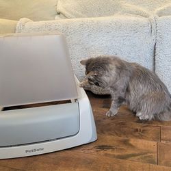 SELF CLEANING Top-Entry LITTER BOX by PetSafe