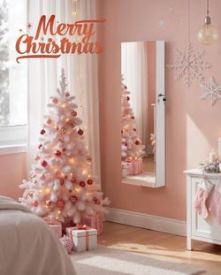 Hanging Jewelry Cabinet with LED Interior Lights, Door-Mounted Jewelry Organizer White