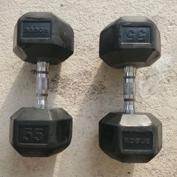 2-65lb Dumbbells