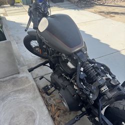 2018 FXBB Street Bob