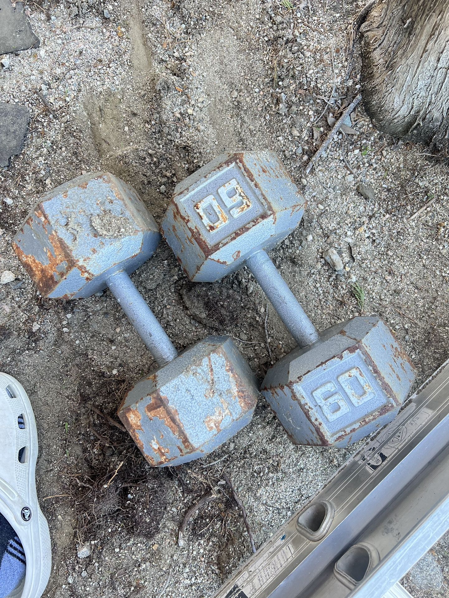 60 Lb Dumb Bells 