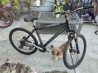 NorthRock Mt Bike 26" 8 Speed Disc brakes