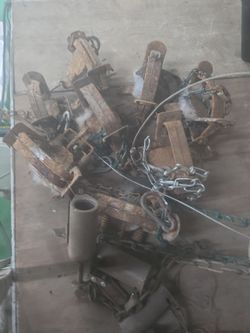 Trapping traps various sizes and styles