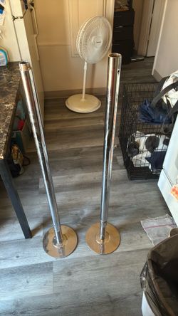 Stripper pole or workout pole