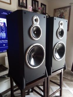 A pair of DCMs 12" three way floor speakers (no Bluetooth)