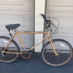 Vintage Kona Cruiser 
