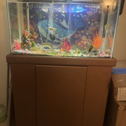 30 Gallons Aquarium With Stand, Filter, 2 Air Pumps , Light , Water Test, Vacuum And  Etc.