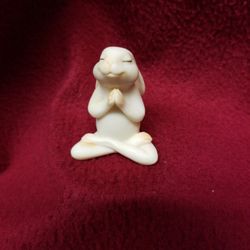 Yoga Bunny
