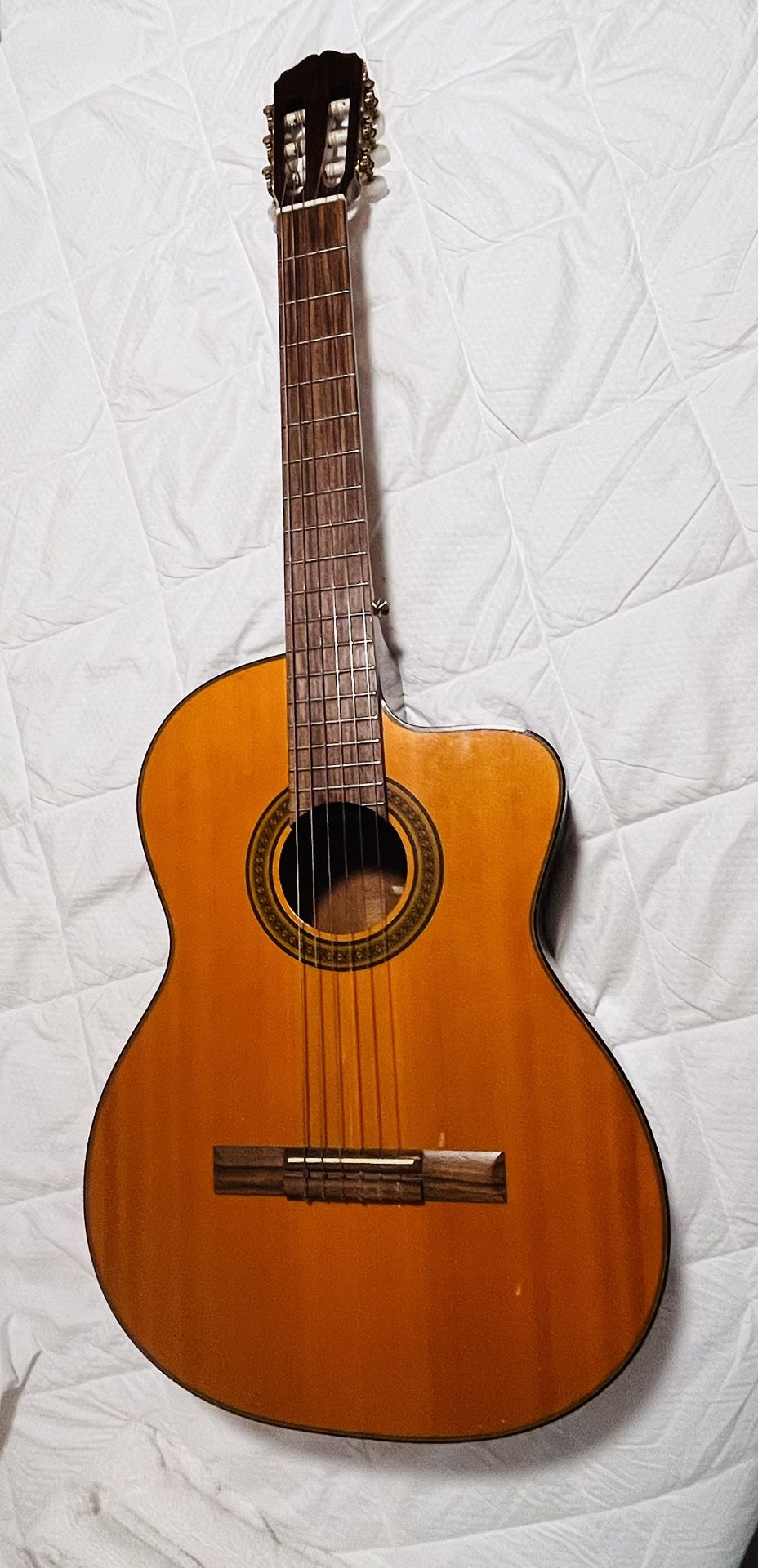 Takamine G Series