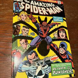 Amazing Spiderman 135 High Grade 2nd Punisher HOT Key Comics