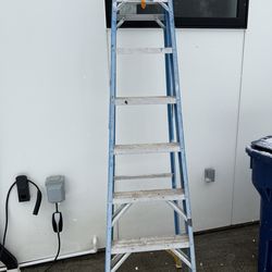 Werner step ladder