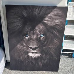 Lion Canvas 
