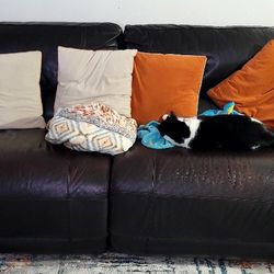 electric reclining leather sofa  