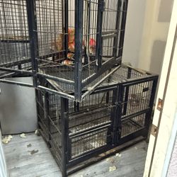 Dog Cage