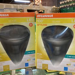 Sylvania 100w LED Floodlight 