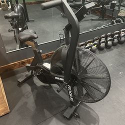 Rogue Echo Bike w/ Fan Cover