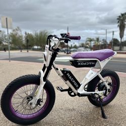 Macfox X1 dual battery