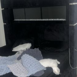 LED Bed