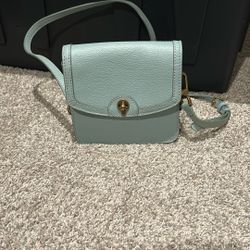 Fossil Purse