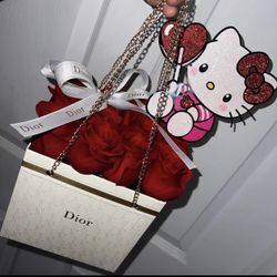 Dior Purse Ramo 