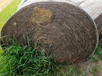 4x5 Alfalfa round bales