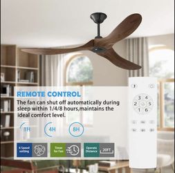 Clearance 60 in. Indoor/Outdoor 3-Solid Wood Blades Propeller Ceiling Fan with R