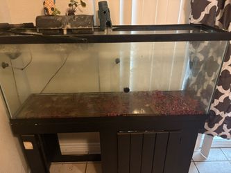 55 Gallon Tank 