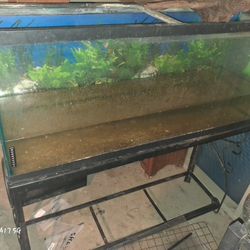55 Gallon Aquarium with Black Metal Stand