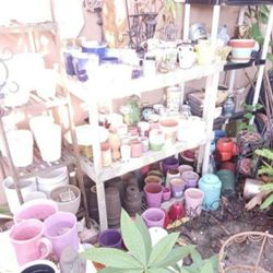House Plant Pots Ceramic Huge Selection