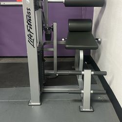 Back extension machine (life Fitness)