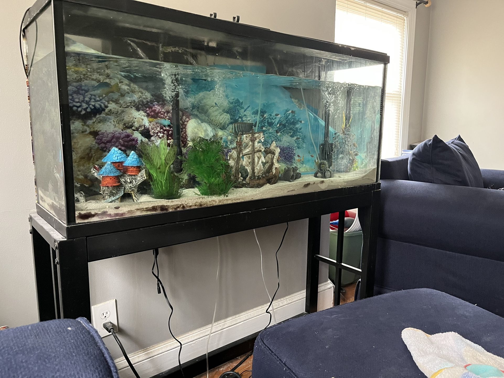50 Gallon Aquarium