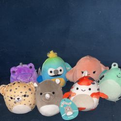 Squishmallows 1x3 2x5