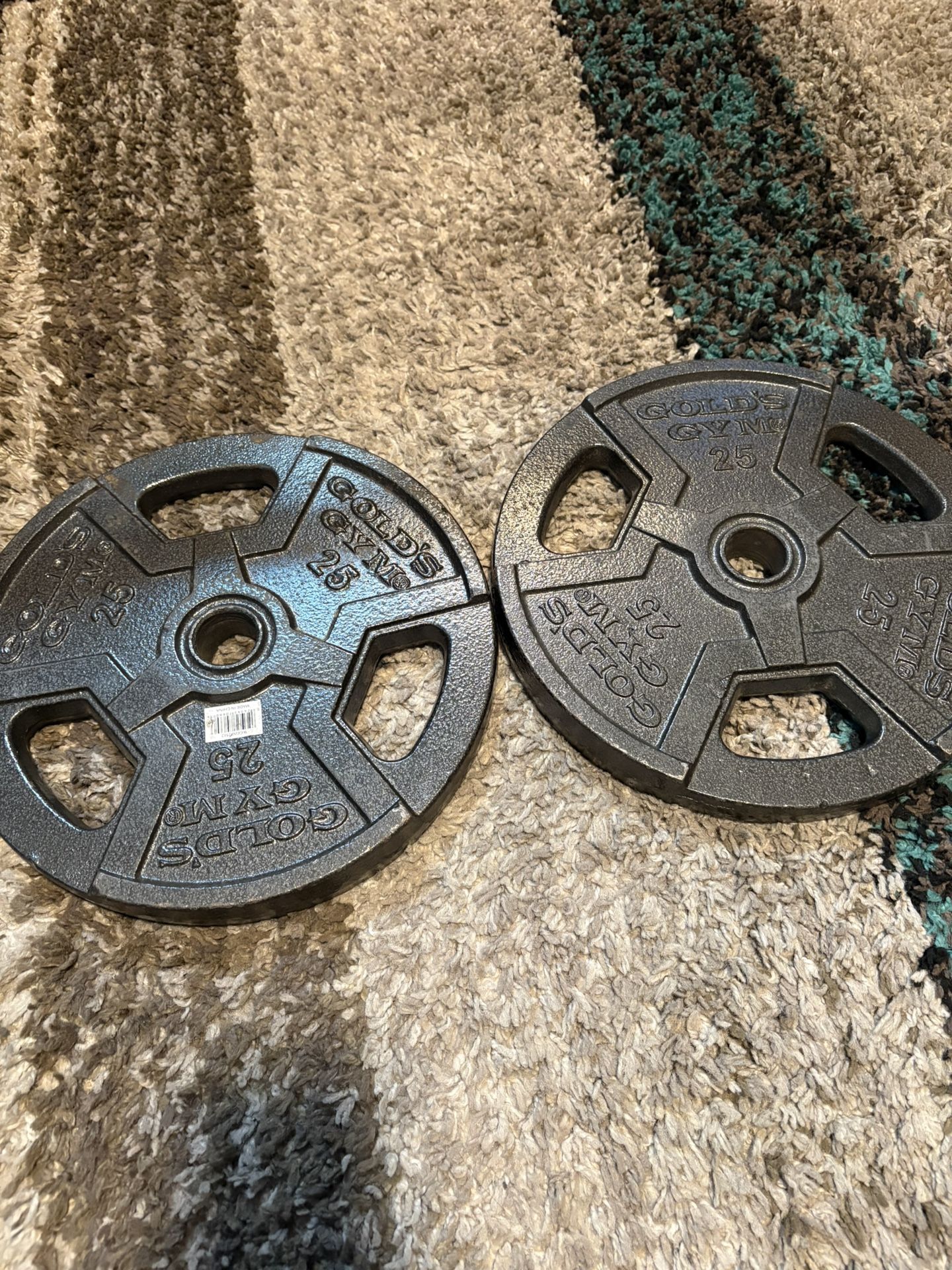 25lb Plate