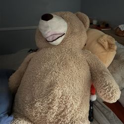 LARGE Teddy Bear 
