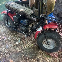 212cc Coleman Mini Bike NEW ENGINE 