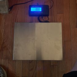 Platform Scale 