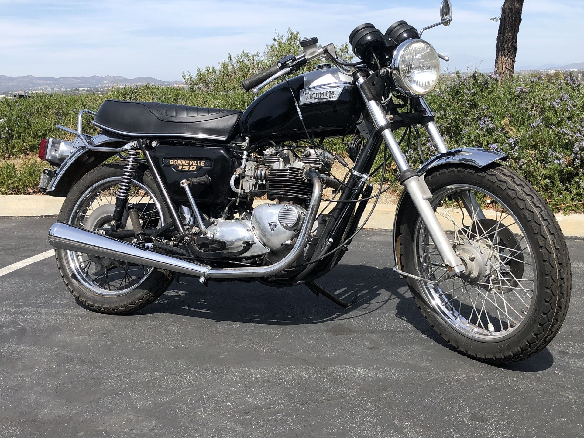 1979 Triumph Bonneville