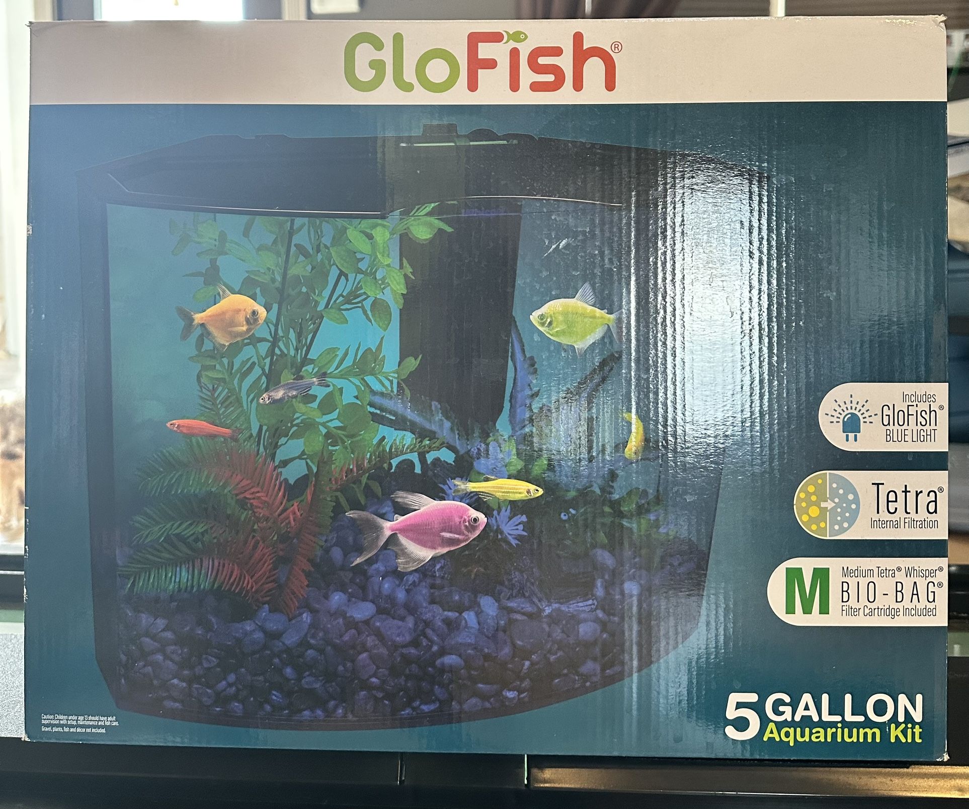 GloFish 5 Gallon Aquarium kit