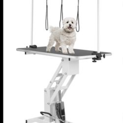 New Dog Grooming Table Hydraulic Pump Never Used