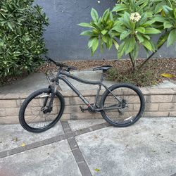REI CO-OP Mountain Bike Men’s