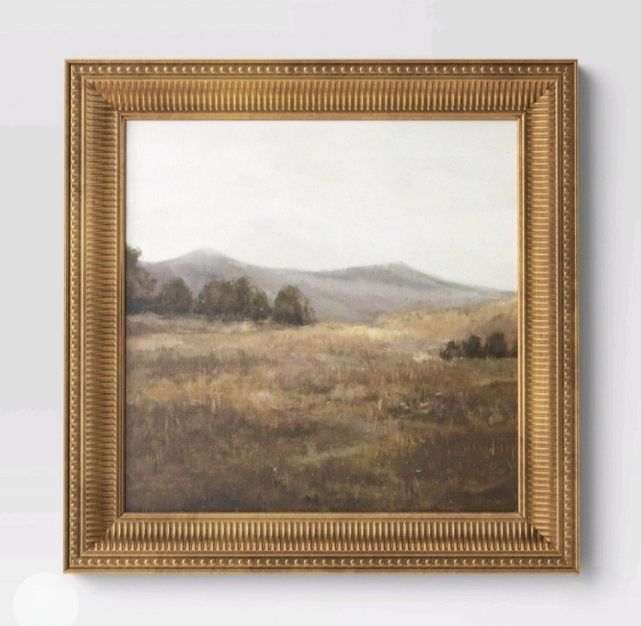 Threshold Prairie Framed Wall Art